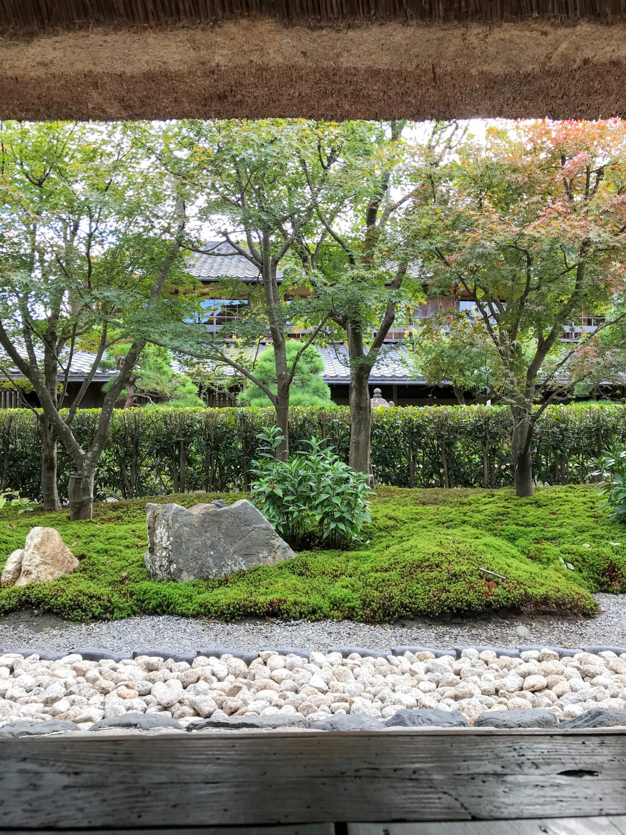 京都旅行2日目_食事_パンとエスプレッソと嵐山庭園_庭園