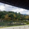 Thumbnail of related posts 113